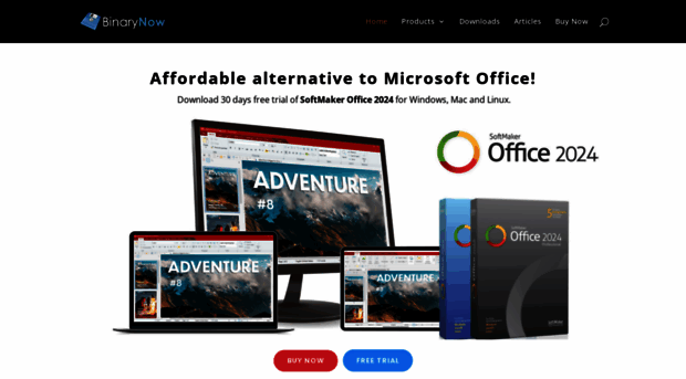 binarynow.com