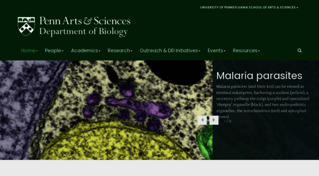bio.upenn.edu