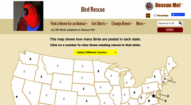 bird.rescueme.org