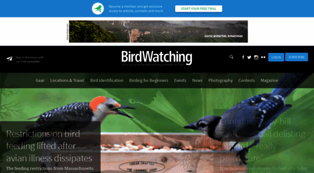 birdersworld.com