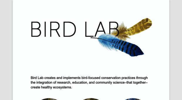 birdlab.org