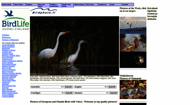 birdphoto.fi