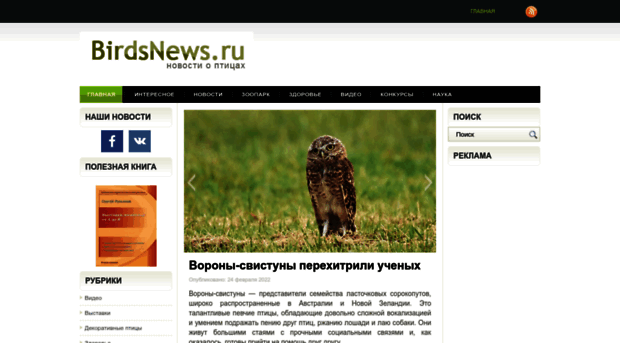 birdsnews.ru