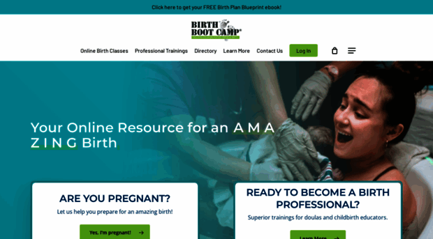 birthbootcamp.com