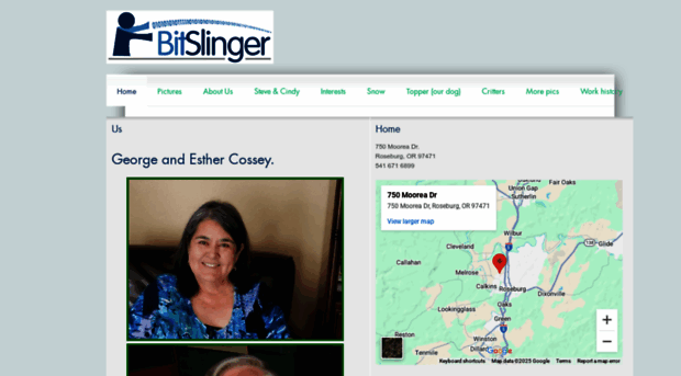 bitslinger.com