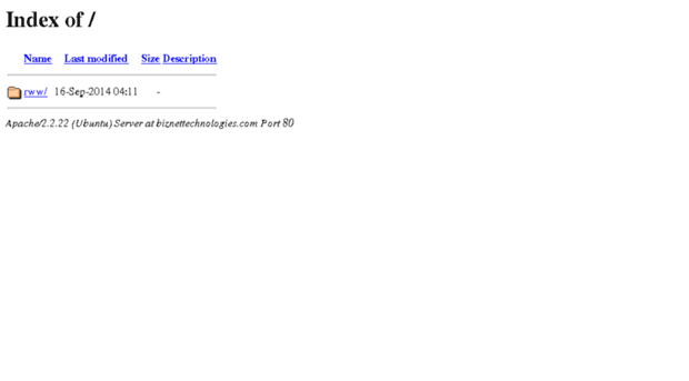 biznettechnologies.com