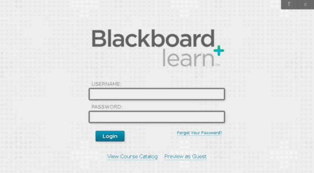 blackboard.morton.edu