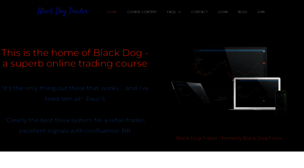 blackdogtrader.com