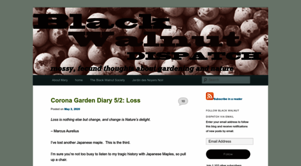 blackwalnutdispatch.com