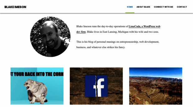 blakeimeson.com
