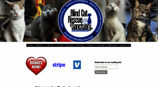 blindcatrescue.com