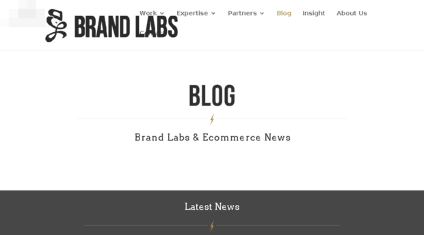 blog.brandlabs.us