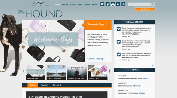 bloggreyhound.com