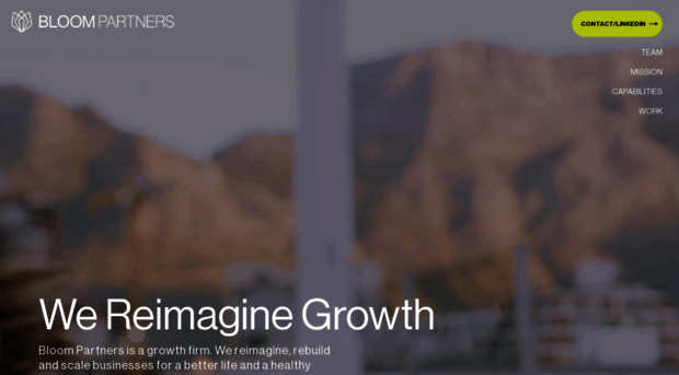 bloom-partners.com