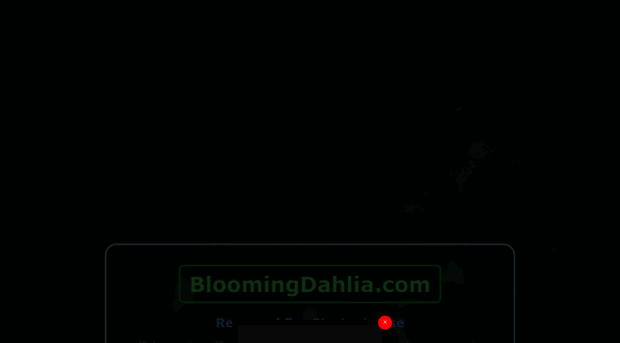 bloomingdahlia.com