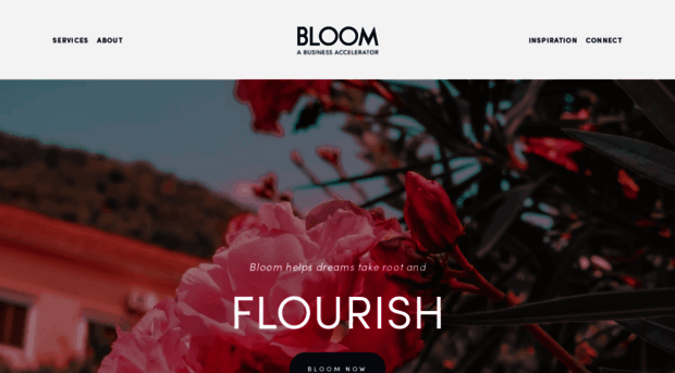bloomtrue.com
