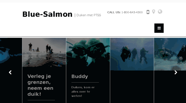 blue-salmon.nl