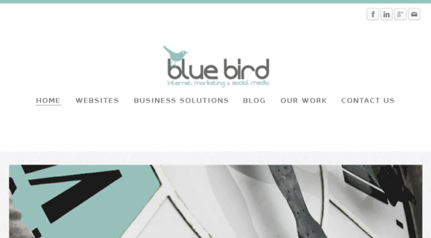 bluebirdinternetmarketing.com