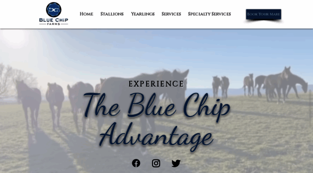 bluechipfarms.com