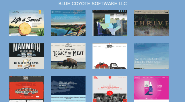 bluecoyotesoftware.com