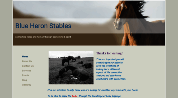 blueheronstables.com