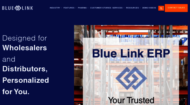 bluelink.com
