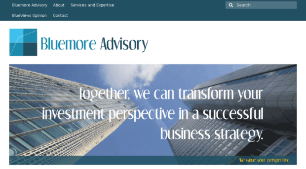 bluemore-advisory.com