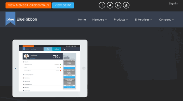 blueribbontechs.com