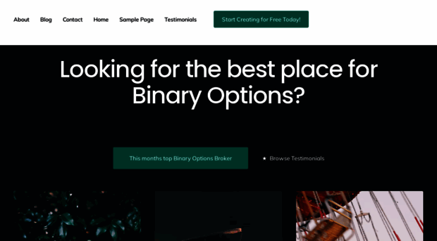 bnryoptions.com