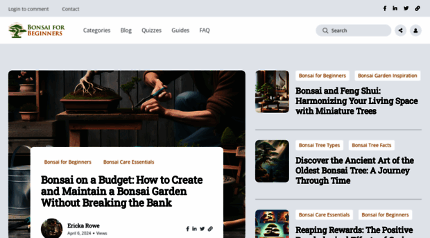 bonsaiforbeginners.com