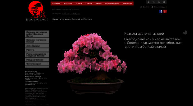 bonsaisale.ru