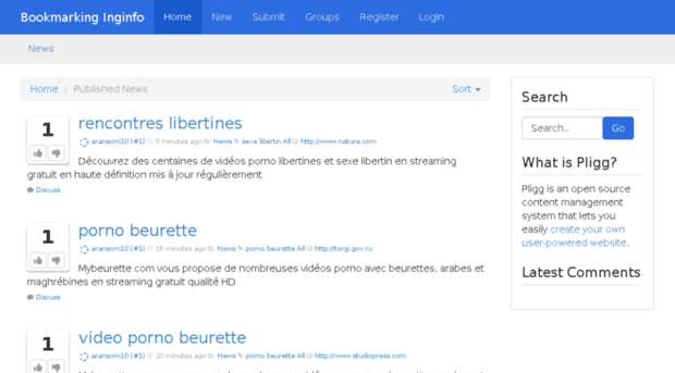 bookmarkinginfo.net