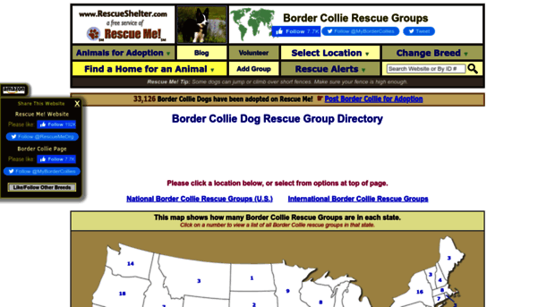 bordercollie.rescueshelter.com
