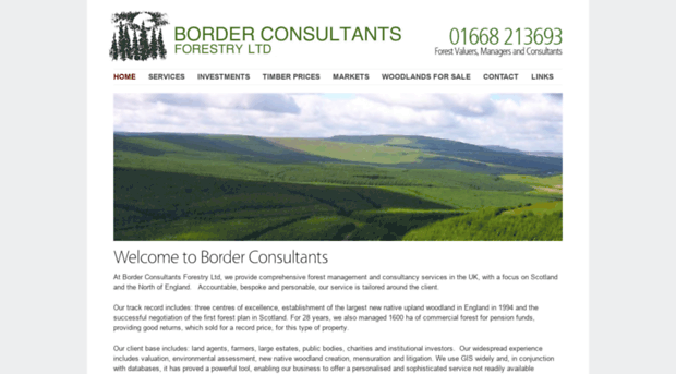 borderconsultants.co.uk