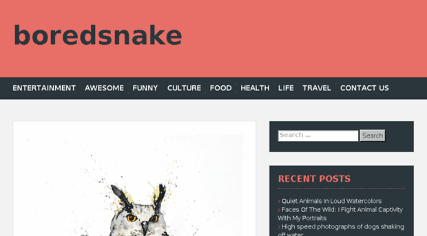 boredsnake.com