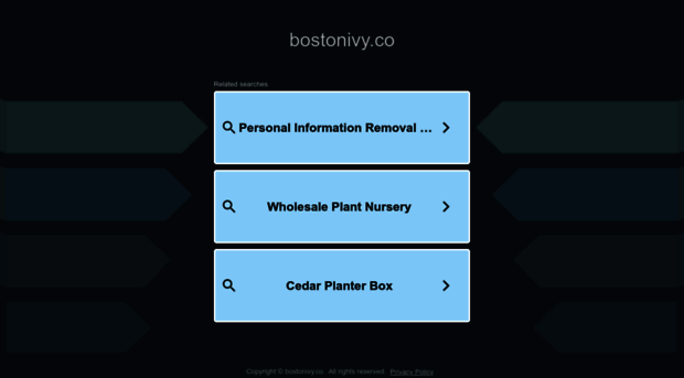 bostonivy.co