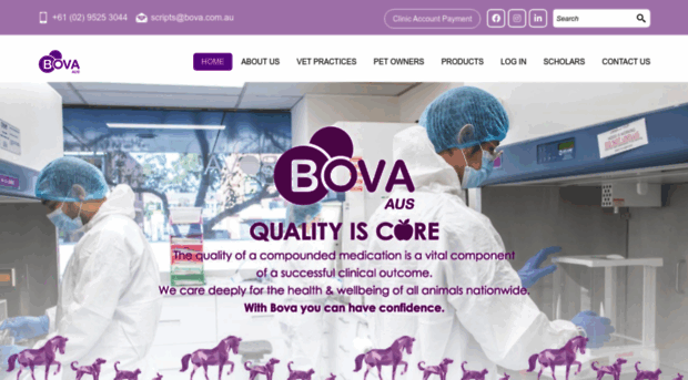 bovacompounding.com.au