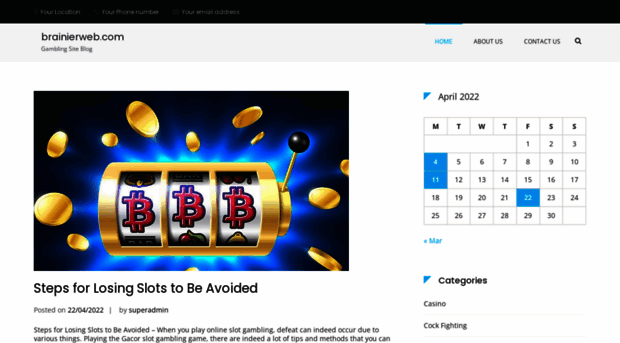 brainierweb.com