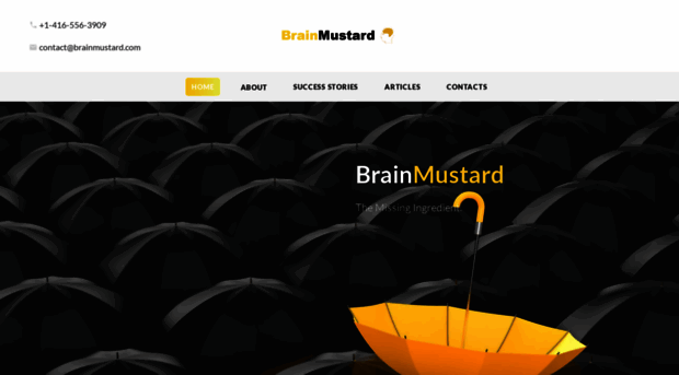 brainmustard.com