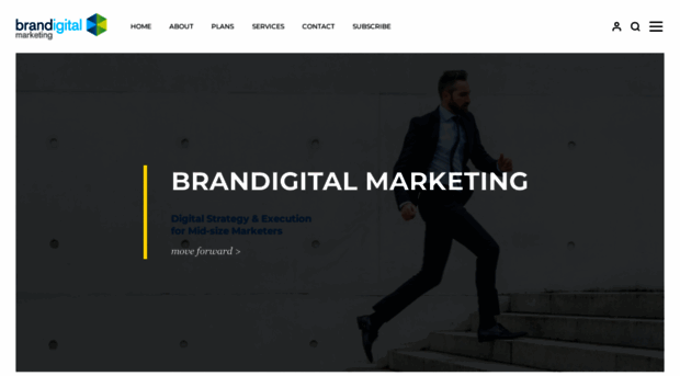 brandigital.com