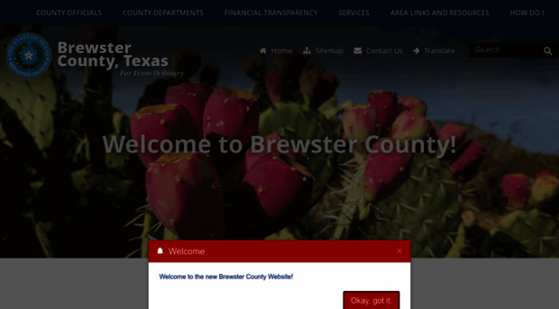 brewstercountytx.com