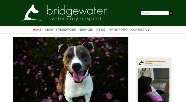 bridgewaterveterinaryhospital.com