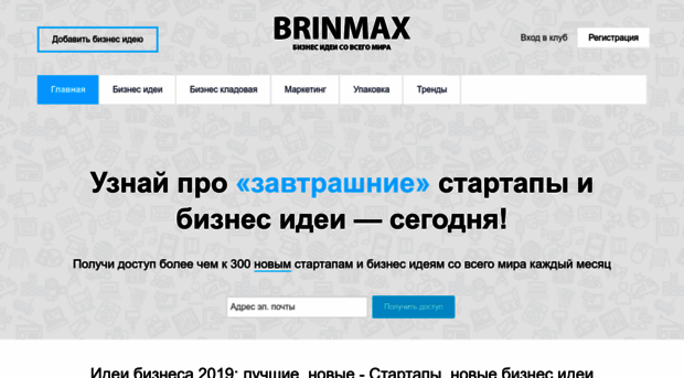 brinmax.ru