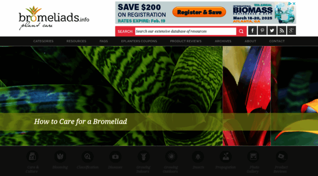 bromeliads.info