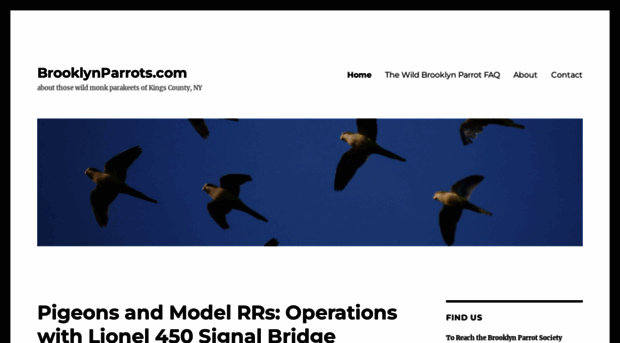 brooklynparrots.com