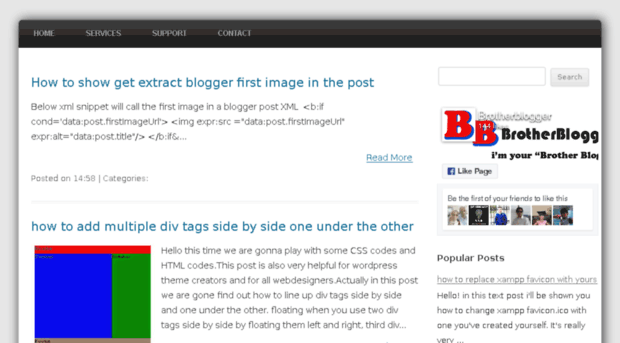 brotherblogger.com