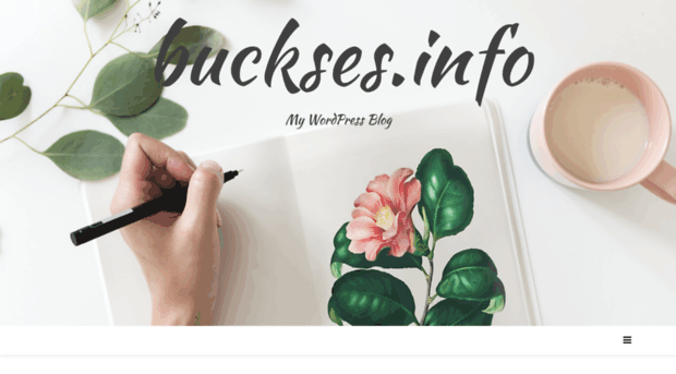 buckses.info