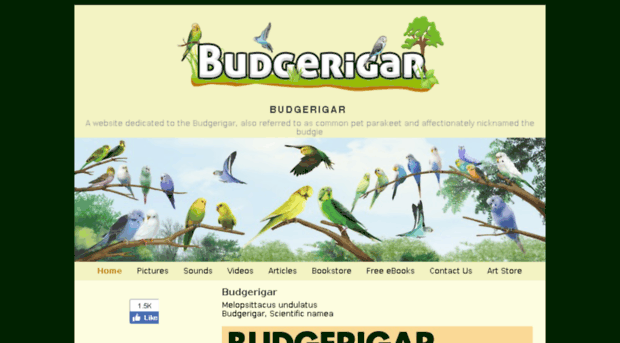 budgerigar.com