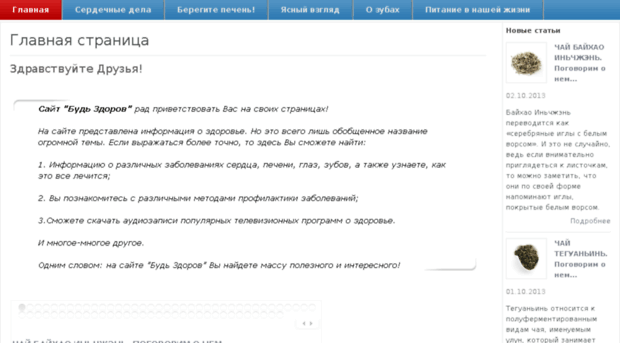 budzdr.ru