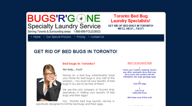 bugsrgonelaundry.com